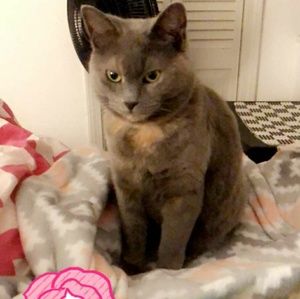 Meet your Posher, Rebecca